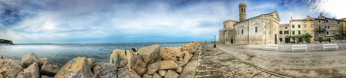 Piran an der Adria